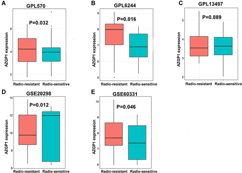 Figure 3 Box plots of AZGP1 differential expression in radioresistant and radiosensitive CRC samples. (A) GPL570 platform containing data from GSE35452 and GSE119409 series; (B) GPL6244 platform containing data from GSE43206 and GSE46862 series; (C) GPL13497 platform containing data from GSE97543 and GSE150082 series; (D) GSE20298 dataset; (E) GSE60331dataset. The Orange boxes represent the expression of AZGP1 in radioresistant samples, while the turquoise boxes represent the expression of AZGP1 in radiosensitive samples.