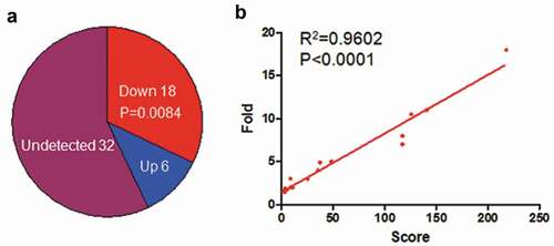 Figure 2. EBV infection decreased expression of miRNAs which were targeted by circRNAome of EBV. a. EBV infection decreased the expression of miRNAs that interacted with circRNAome of EBV. The miRNA expression in LCLd3 cell with or without EBV infection was from miRmine database. P-value was calculated using Fisher exact test in R. b. The positive correlation was between the decreased fold of miRNAs upon EBV infection and their scores targeted by EBV circRNAome.