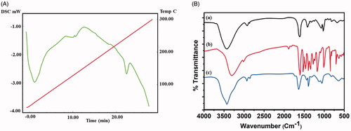 Figure 2. (A) DSC and (B) FTIR spectrum (a, CS; b, RS; c, CS–ZnO–RS) of CS–ZnO–RS.