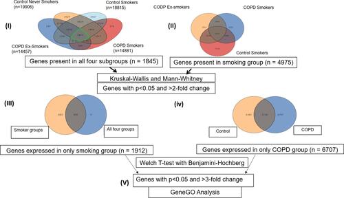 Figure 5 Work flow of analysis. Number in parenthesis shows the number of (I) genes expressed in that particular subgroups: CNS (n=19,906), CS (n=18,815), COPD Ex-S (n=14,457) and COPD S (n=14,481), (II) genes (n =1845) expressed in all 4 subgroups, (III) n=1912 genes were found to be commonly expressed in smoking group (p<0.05 and FC>2). (IV) n= 6707 genes were found to be uniquely expressed in the COPD group when compared to controls. (V) Genes uniquely expressed in smoking group and COPD group were subjected to GeneGOMetacore analysis.