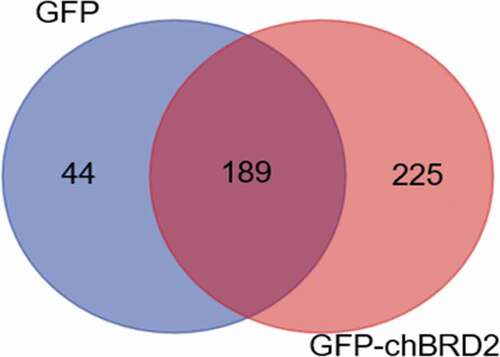 Figure 2. The distribution of differentially expressed proteins during GFP-chBRD2 or GFP infection at 36 h. The differential Venn maps of proteins interacting with GFP-chBRD2 or GFP were completed by the online programme. (http://bioinformatics.psb.ugent.be/webtools/Venn/)