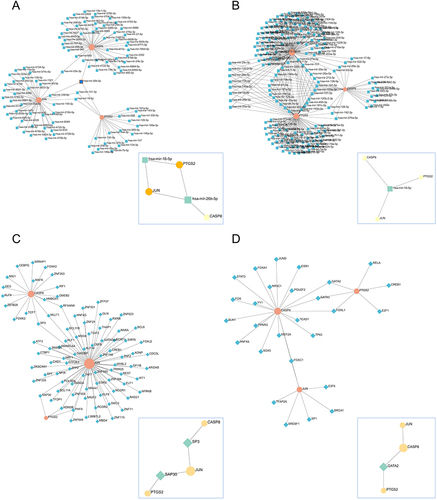 Figure 8 MicroRNA/TF regulatory network of hub genes. (A and B) MicroRNA: first-order network obtained from hub genes in the miRTarBase and TarBase databases, respectively, with the minimum network in the lower right corner; (C and D) TF: first-order network obtained from hub genes in the ENCODE and JASPAR databases, respectively, with the minimum network in the lower right corner.