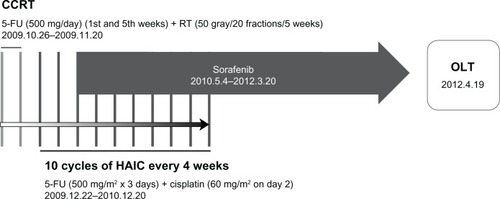 Figure 2 Scheme of therapy protocol. After CCRT with subsequent combined use of HAIC and sorafenib, the patient underwent OLT.