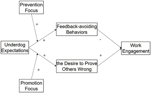 Figure 1 The theoretical model of this study.
