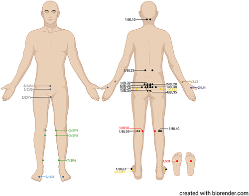 Figure 2 The location and distribution of the acupoints. Created with BioRender.com.