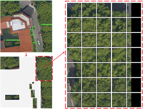 Figure 5. Grid generation process. Each recognized tree area in the first stage was extracted and split into unit-images (64 * 64) for the second-stage model training. The following biomass labeling and estimation process in the second stage were based on unit-images.