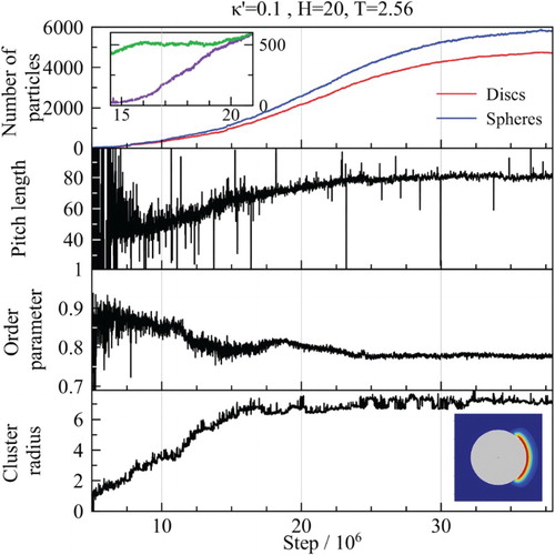 Figure 4. Time-lines of structural observables measured for the growing double-bilayer structure formed in a system with and H=20. The top inset window shows the number of particles in the outermost disc leaflets of the double-bilayer in the period after the parent and child bilayers became coupled. The horizontal axis of this window indicates the MD time-step in millions. The disc–sphere potential for this system is shown as a further inset.