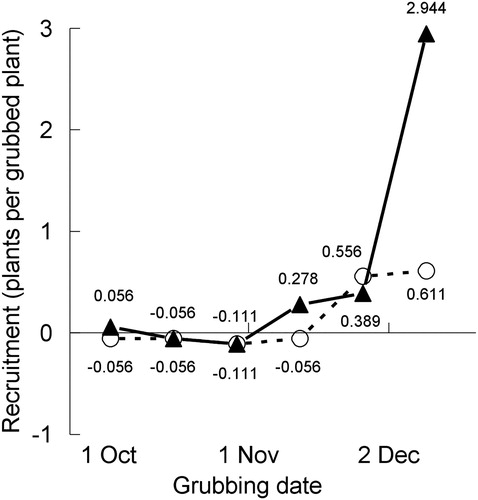 Figure 4. The net effect on recruitment of Nassella trichotoma (N.t) of grubbing a plant at various times during its reproductive development and leaving it in situ in either an intact (O) or disturbed (▴) pasture sward (Experiment 3). For each grubbing date, and for intact and disturbed pasture, this was estimated by subtracting the corresponding background ‘control’ level of recruitment (−N.t) from each +N.t value in the last column of Table 3. These net effects are given in the figure and referred to in the text of this paper as RI and RD for intact and disturbed pastures, respectively. These are plotted against the average of the dates of grubbing at the 2007, 2008 and 2009 sites (=2 days added to the 2007 and 2008 dates): 2, 16 and 30 October, 13 and 27 November and 11 December.