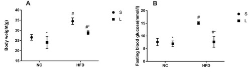 Figure 4 Effects of liraglutide on the body weight (A) and blood glucose levels (B) in mice fed the normal rodent chow diet and mice with HFD-induced NAFLD (means±SD, n=6). *P<0.05 for the comparison between saline and liraglutide treatments. # P<0.05 for the comparison between the NC and HFD groups.