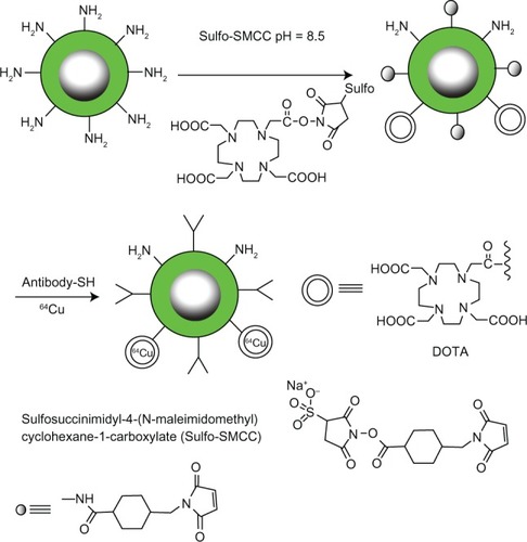 Figure 3 A scheme for conjugating radioisotope chelates to surface functionalized nanoparticles coated with amphiphilic polysiloxane block polymers containing active –NH2 groups.