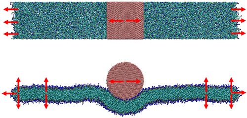 Figure 11. (colour online) Top and side views of a 10 nm cylinder undergoing wrapping by a CG bilayer in the ribbon geometry. Red arrows show the direction of restraining potentials.