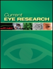 Cover image for Current Eye Research, Volume 38, Issue 5, 2013