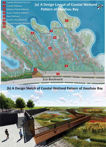 Figure 4. Using Lacunarity index numbers of natural wetlands for our design of coastal wetland patterns in Jiaozhou Bay, Qingdao, China: (a) design layout and (b) the design sketch of the coastal wetland pattern.