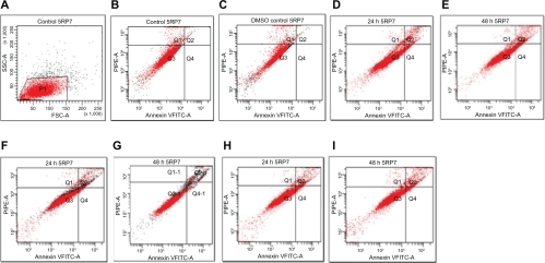 Figure 2 Flow cytometric analysis of 5RP7 (H-ras-transformed fibroblasts) by double labeling with Annexin V-fluorescein isothiocyanate and propidium iodide. Control cells were labeled with Annexin V-fluorescein isothiocyanate and propidium iodide, and then fixed and analyzed on a flow cytometer. Quadrants are viable cells Q3 (Annexin V-negative/propidium iodide-negative), early apoptotic cells Q4 (Annexin V-positive/propidium iodide-negative) and late apoptotic and necrotic cells Q2 (Annexin V-positive/propidium iodide-positive). Percentage of apoptotic cells are A) control cells, 1.1%; B) dimethyl sulfoxide control cells, 1.2%; C) Ma-Fol-modified magnetic nanoparticles 2.5 μg/mL, 24 hours 7.2%; D) Ma-Fol modified magnetic nanoparticles 2.5 μg/mL, 48 hours, 8.1%; E) Ma-Fol-modified magnetic nanoparticles 4.5 μg/mL, 24 hours, 10.5%; F) Ma-Fol-modified magnetic nanoparticles 4.5 μg/mL, 48 hours, 12.9 %.Abbreviation: Ma-Fol, methacrylamido-folic acid.