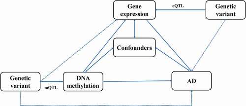 Figure 1. Study design of the network Mendelian randomization.