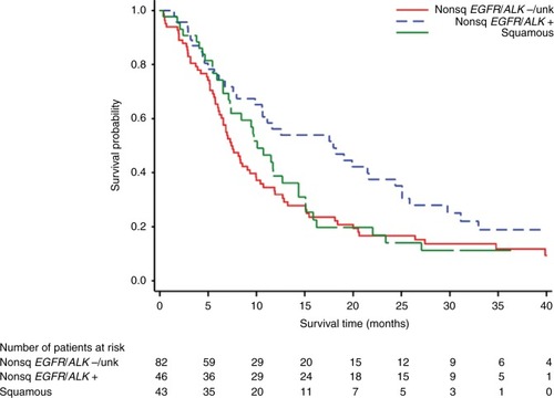 Figure 1 Kaplan–Meier plot of overall survival for patients with squamous non-small cell lung cancer (NSCLC) and those with nonsquamous NSCLC, by mutation status from initiation of first-line therapy.