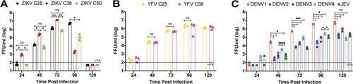 Figure 3. Effect of capsid duplication length on viral growth. Multi-step growth kinetics (MOI 0.01, n = 3) on Vero cells, using focus-forming assay to quantify growth for A. ZIKV C25, C38, and C50; B. YFV C25 and C38; C. DENV1-4 and JEV. 2-way repeated measures ANOVA with Tukey’s multiple comparisons test was used to assess significance for A and C. 2-way repeated measures ANOVA with Sidak’s multiple comparisons test was used for B (p > 0.5 = ns, p < 0.5 = *, p < 0.1 = **, p < 0.01 = ***, p < 0.001 = ****).