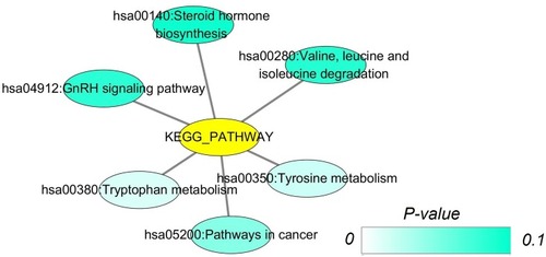 Figure 3 Network mappings of Kyoto Encyclopedia of Genes and Genomes (KEGG) pathways of CDH16 co-expressed genes in PTC.Notes: In this network, all terms related are displayed. Each node represents a KEGG term, and the node color indicates the P-value of a KEGG term.