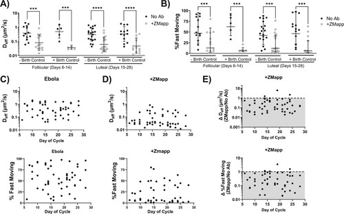 Figure 5. Effect of the menstrual cycle phase and birth control status on Ab-mediated trapping of Ebola VLPs in pH-neutralized CVM. Cycles were normalized to 28 days based on the donor reported number of days post-menses. CVM samples were grouped by the cycle phase and separated by birth control status. Samples classified as follicular phase were those collected 6–14 days post-menses, while those classified as luteal phase were from 15 to 28 days post-menses. (A) Average 〈Deff〉 of virions in follicular versus luteal phase in normally cycling versus donors on birth control. (B) Percentage of fast-moving virions (average 〈Deff〉 ≥ 0.347 µm2/s) by phase in follicular versus luteal phase in normally cycling versus donors on birth control. Solid lines represent geometric mean and standard deviation. Data were analysed using Two-Way repeated measures ANOVA with Sidak’s multiple comparisons test. A p ≤ 0.05 was considered statistically significant (***p < 0.001, ****p < 0.0001). (C) Average 〈Deff〉 and percent fast-moving of untreated Ebola VLPs in pH-neutralized CVM as a function of cycle day. (D) Average 〈Deff〉 and percent fast-moving of Ebola VLPs treated with ZMapp in pH-neutralized CVM as a function of cycle day. (E) Trapping effect size as a ratio of either average 〈Deff〉 or percent fast-moving virions in a treated sample over the untreated control. The dotted line represents the point at which there was no decrease in mobility in the antibody condition compared to control, with the shaded area representing a decrease in mobility upon addition of Ab. Data were analysed using Spearman’s Correlation. Alpha of p ≤ 0.05 was considered statistically significant; there was no relationship between trapping potency and cycle day.