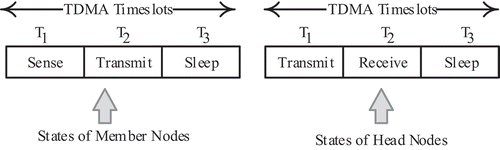 Figure 3. Scheduling states of sensor nodes.