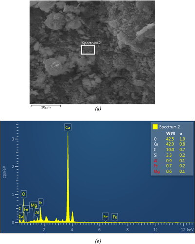 Figure 11. (a) SEM micrograph of M100G0 mixture (b) EDX spectrum at the identified location.