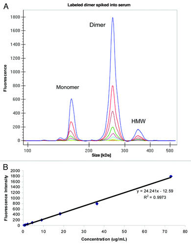 Figure 6. (A) Electropherogram of labeled dimer spiked into serum (B) Standard curve obtained after plotting fluorescence intensity vs. concentration (μg/mL) of labeled dimer.