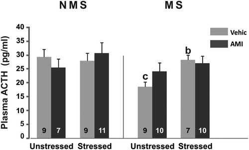 Figure 2. Plasma ACTH concentration (pg/ml) in NMS and MS rats subjected to chronic variable stress under AMI (5 mg/kg) or vehicle administration. Mean ± SE are presented. The number of animals per group is included inside each bar. (b) Significant difference (p < 0.05) versus respective unstressed. (c) Significant differences (p < 0.05) versus respective NMS.