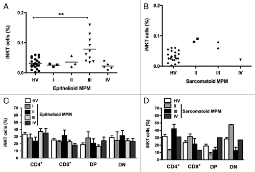 Figure 4. The frequency of iNKT cells and iNKT cell subsets in epithelioid and sarcomatoid MPM patients belonging to a certain clinical stage. Scatter plot of the iNKT cell frequency in HV and patients with epithelioid (A) or sarcomatoid (B) MPM at different clinical stages. Horizontal bar is the median value for each group. **p ≤ 0.01. (C and D) Analysis of the frequencies of iNKT cell subsets was performed by CD4 and CD8 staining with anti-CD4 and anti-CD8 mAb. The values are expressed as percentage of iNKT cells expressing the molecules over the total iNKT cells. Data are the mean ± SEM.