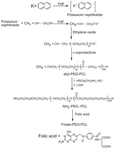 Figure 1 Synthetic approach of folate-PEG-PCL for SPION coating.Abbreviations: PEG-PCL, poly(ethylene glycol)-poly(ɛ-caprolactone); SPION, superparamagnetic iron oxide nanoparticle.