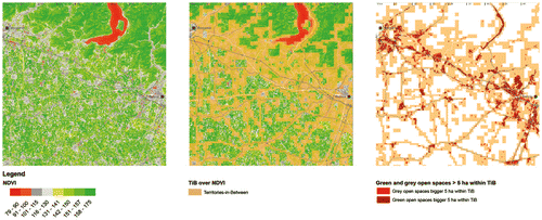 Figure 4. From NDVI to green and grey open spaces larger 5 ha within TiB.