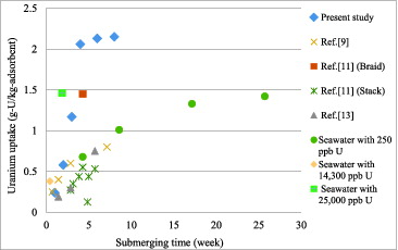 Figure 11. Uranium uptake of chromic acid pre-treated amidoxime fibers submerged in 30 °C Phuket seawater compared to other studies.