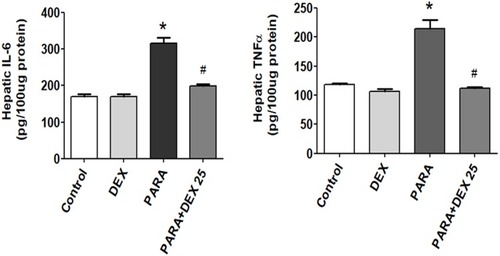Figure 6 Effects of DEX treatment on hepatic TNF-α and IL-6 expression levels following PARA-induced liver toxicity. Mice were intraperitoneally administered PARA (300 mg/kg) alone, DEX (25 μg/kg) 30 mins after PARA injection, or DEX (25 μg/kg) alone, and were sacrificed 16 hrs later for assessment of hepatic TNF-α and IL-6 expression levels. Results are presented as the mean ± SEM; n = 6 mice per group. *p < 0.05 vs. control; #p < 0.05 vs. PARA alone.