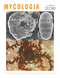 Cover image for Mycologia, Volume 116, Issue 4, 2024