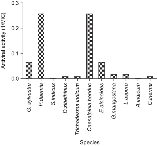 Figure 3.  Anti-calicivirus (FCV) extracts (virucidal protocol). Results for each of the indicated species are plotted as reciprocals of the MIC (minimum inhibitory concentration) in μg/mL. The higher the bar, the greater the antiviral activity. Other plant species showed no activity.