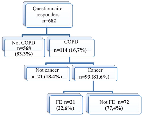 Figure 1. Flow chart.COPD, Chronic obstructive pulmonary disease; FE, Frequent exacerbator.