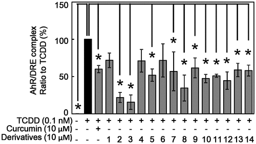 Figure 4. Effect of curcumin derivatives on TCDD-induced binding activity of AhR to DRE in Hepa-1c1c7 cells. Hepa-1c1c7 cells were treated with the indicated concentrations of curcumin and derivatives, then exposed to 0.1 nM TCDD or DMSO alone as a vehicle control for 2 h. Nuclear fraction of these cells were prepared. Binding activity of AhR to DRE sequence was measured by SW-ELISA as described in Materials and Methods. Typical representative data are shown from more than three independent experiments. The value of TCDD alone was set to 100%. The results are represented as the mean ± SD (n = 3). Asterisks indicate significant difference from the value of TCDD alone by Dunnett’s test (*; p < 0.05).