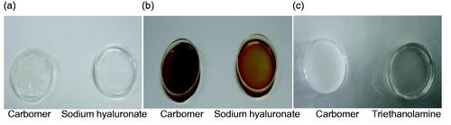 Figure 2. Appearance of MBGs. (a, b) MBGs prepared with different gel matrices. (c) Changes in the appearance of microemulsions after the addition of carbomer and triethanolamine.