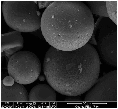 Figure 1. SEM of F9.