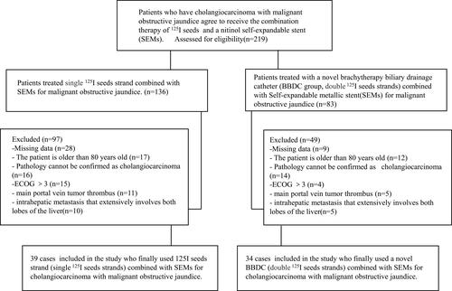 Figure 2 Treatment flow chart.