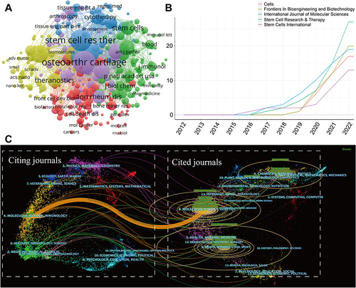 Figure 3 (A) Network map of journals that were co-cited in more than 20 citations. (B) Top 5 journals’ publication overtime. (C) The dual-map overlay of journals related to exosomes in orthopedics.