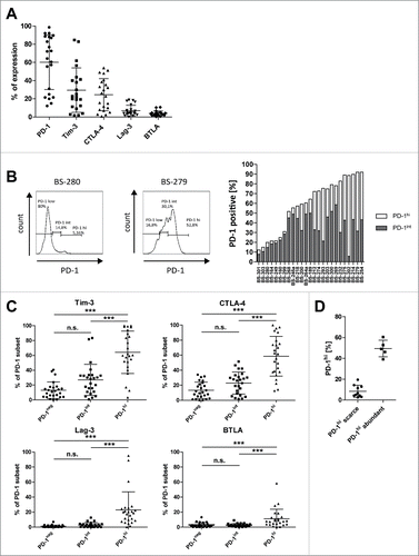Figure 3. Pattern of inhibitory receptor expression on intratumoral CD8+ T-cells. (A) The expression level of the inhibitory receptors PD-1, Tim-3, CTLA-4, Lag-3, and BTLA was determined by flow cytometry on CD8+ T-cells from tumor digests or malignant effusions. (B) Shows the gating strategy for identification of PD-1hi, PD-1int, and PD-1neg CD8+ subsets of T-cells from two representative patients and their distribution in the tumor samples analyzed. (C) Co-expression of Tim-3, CTLA-4, Lag-3, and BTLA on PD-1hi, PD-1int, and PD-1neg CD8+ T-cells. The P-values were calculated using one-way ANOVA with Bonferroni post-hoc-test. (D) FolR1+ tumor samples were divided according to the percentage of PD-1hi expressing CD8+ cells in two groups with PD-1hi scarce and abundant expression, respectively.