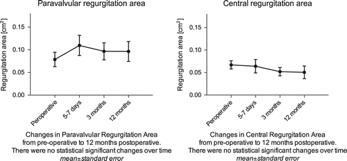 Figure 2. Changes in regurgitation area over time.