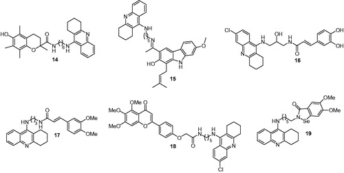 Figure 5. The chemical structures of tacrine derivatives with cholinesterase inhibition and antioxidant properties.