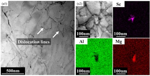 Figure 7. TEM results of the AD sample: (a1) low magnification image; (a2) high magnification image and the corresponding EDS maps.