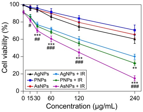 Figure 2 Effects of AgNPs, PNPs and AsNPs on C6 cell viability with or without irradiation.Notes: C6 cells were incubated with different concentrations of AgNPs, PNPs or AsNPs for 24 h. Twenty-four hours after 4 Gy X-ray irradiation treatment, cell viability was evaluated by MTT assay. Data are shown as the mean ± SD (n = 3). IR in the figure is an abbreviation for irradiation. **P<0.01, ***P<0.001 compared with the corresponding AgNPs treated group; #P<0.05, ##P<0.01, ###P<0.001 compared with the corresponding PNPs treated group.Abbreviations: AgNPs, silver nanoparticles; PNPs, PEGylated silver nanoparticles; AsNPs, PEG- and As1411-functionalized silver nanoparticles; h, hours; Gy, gray; MTT, 3-[4,5-dimethylthiazol-2-yl]-2,5-diphenyltetrazolium bromide; SD, standard deviation; n, number.