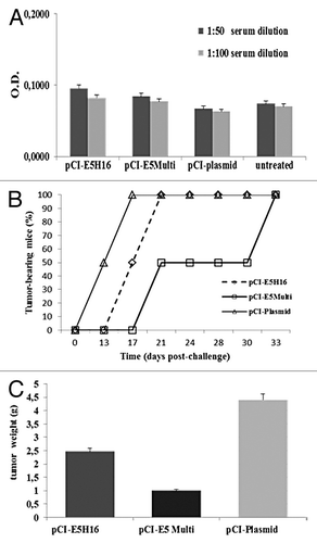 Figure 5. Preventive immunization with E5-based vaccines. (A) ELISA assay. Sera were collected from mice on day 14 after last boost and analyzed by E5 specific ELISA as described in “Materials and Methods”. Data are expressed as means for each group of mice ± SD (B) Cancer growth. Tumor development was assessed by palpation three times per week after C3 cell challenge. (C) Tumor burden. Five weeks after challenge mice were sacrificed and excised tumors weighted. Data are represented as mean of all of the mice in the groups ± SD.