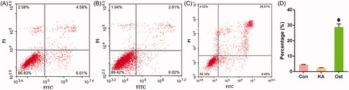 Figure 3. Effect of osthole on apoptosis of KA-activated BV-2 cells. (A) Control group; (B) KA group; (C) osthole group; (D) Histogram of the apoptosis rate evaluated by flow cytometry. *p < 0.05 versus KA group. Con: control; KA: kainic acid; Ost: osthole.