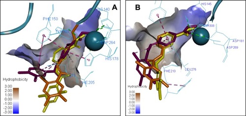 Figure 7 Overlay of the 3D ligand binding poses of compounds 7a (purple), 8a (orange) and 8b (yellow) in the HDAC1 (A) and HDAC2 (B) ligand-binding sites. The interacting residues are shown in line view, Zn ion is shown as a sky blue sphere. Dotted lines are used to visualize the protein–ligand interactions. Image prepared in Discovery Studio Visualizer.