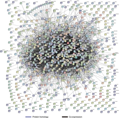 Figure 12 STRING connections with functional and physical DCTN4 and correlated genes.Abbreviations: DCTN, dynactin; STRING, The Search Tool for the Retrieval of Interacting Genes/Proteins.