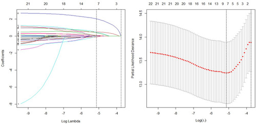 Figure 2 Feature selection using least absolute shrinkage and selection operator (LASSO) Cox regression for BCSS.